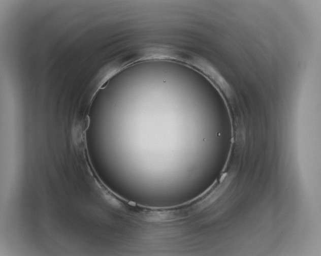 X0000112761385200908201429
