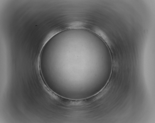X0000112761386200908201429