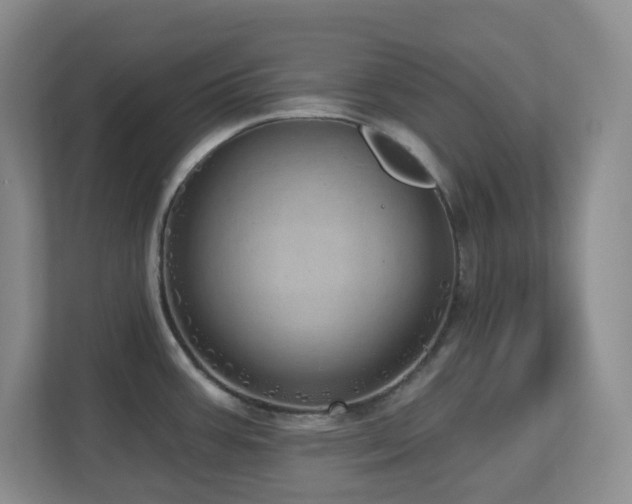 X0000112761387200908201429