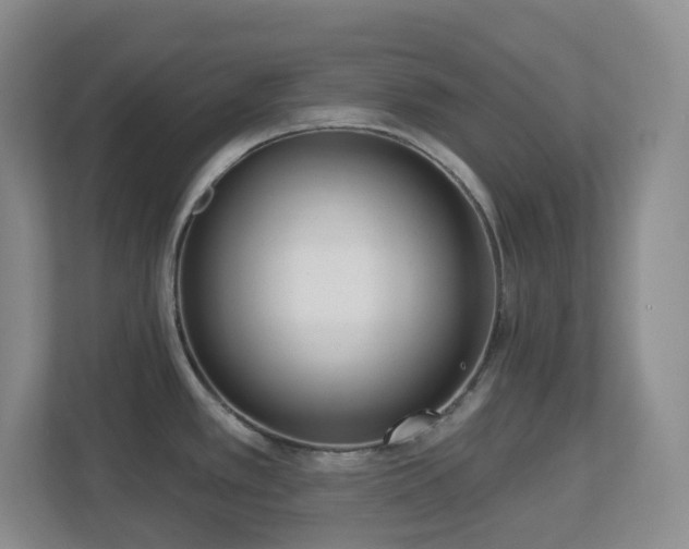 X0000112761389200908201429
