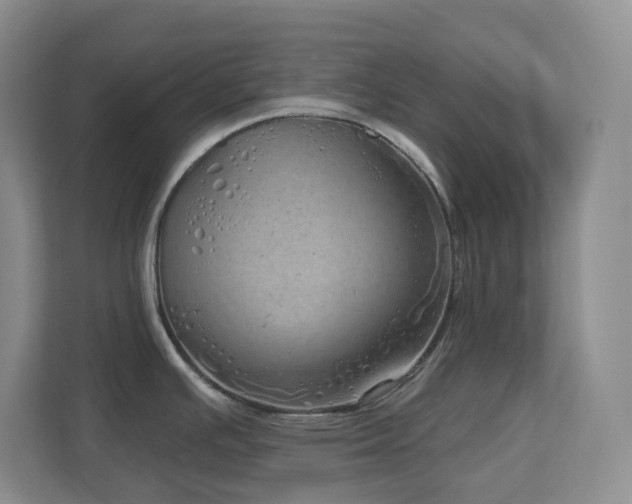 X0000112761391200908201429
