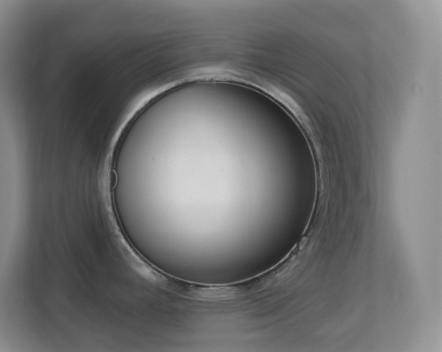 X0000112761392200908201429
