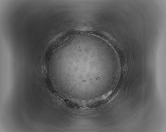 X0000112761398200908201428