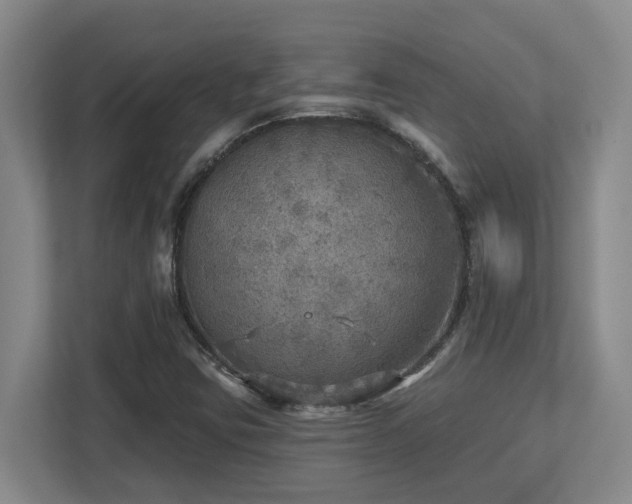 X0000112761403200908201428