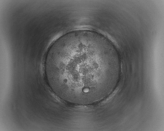 X0000112761405200908201429