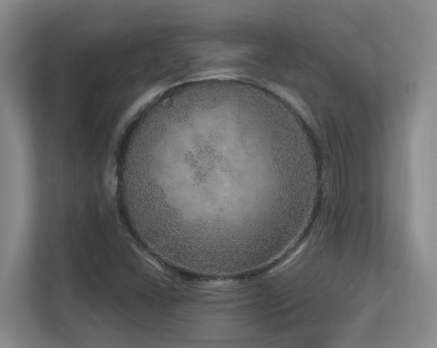 X0000112761406200908201429