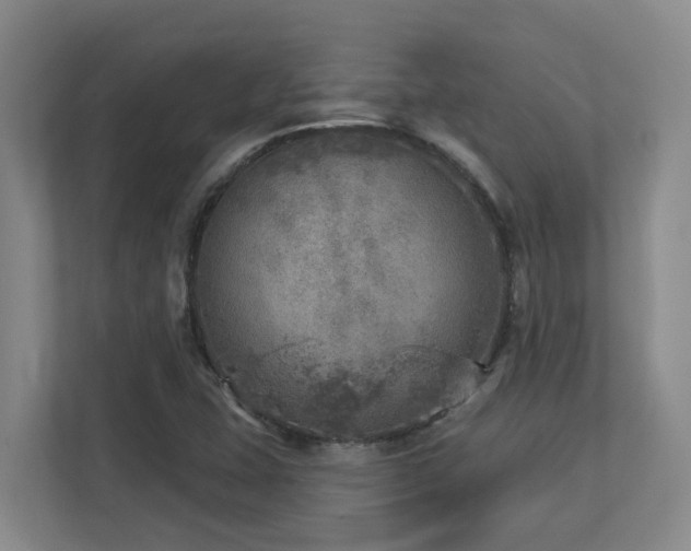 X0000112761407200908201429