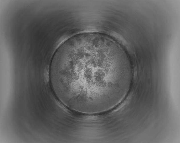 X0000112761409200908201429