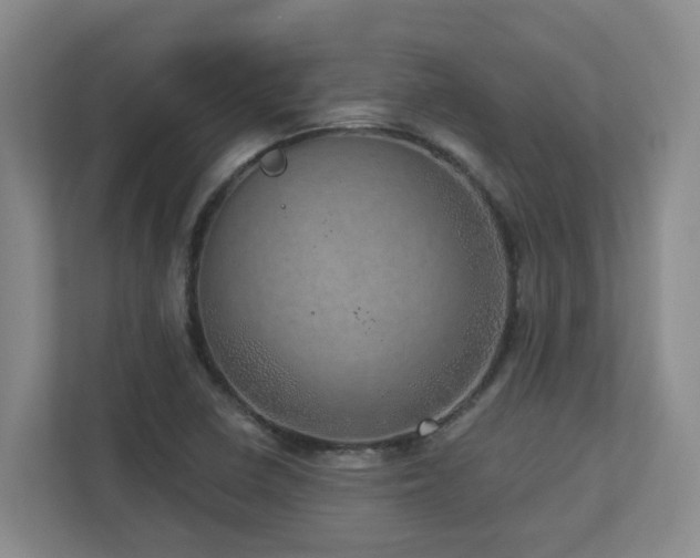 X0000112761410200908201429