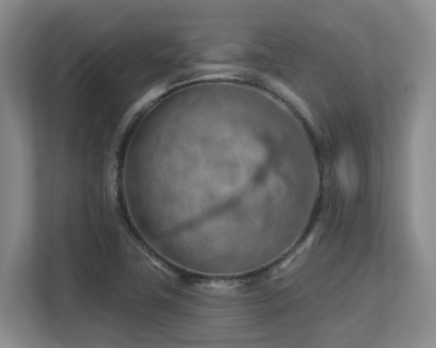 X0000112761411200908201429