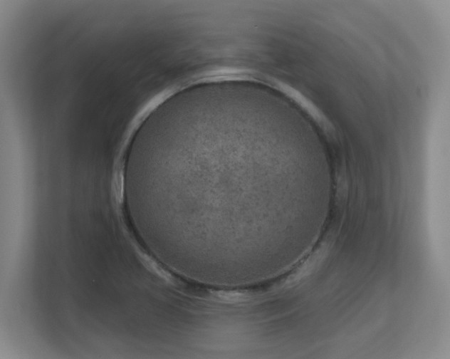 X0000112761413200908201429