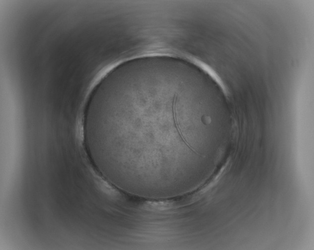 X0000112761415200908201429