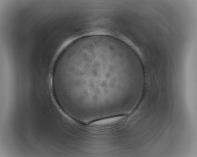 X0000112761416200908201429