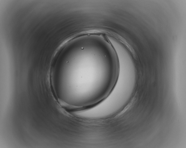 X0000112761417200908201429