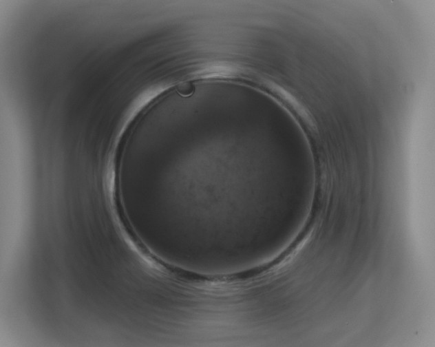 X0000112761418200908201429