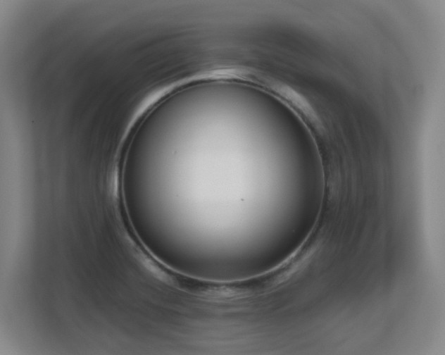 X0000112761420200908201429