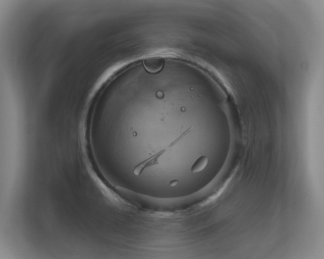 X0000112761422200908201429