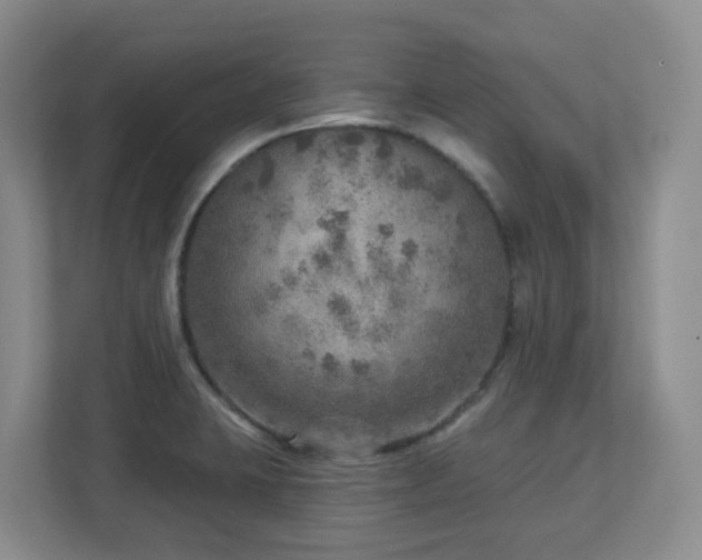 X0000112761423200908201429
