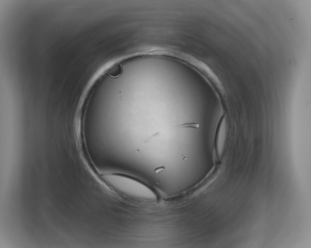 X0000112761424200908201429