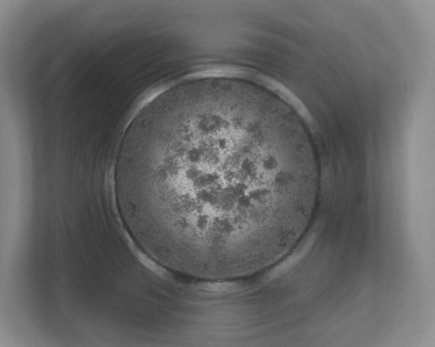 X0000112761425200908201429