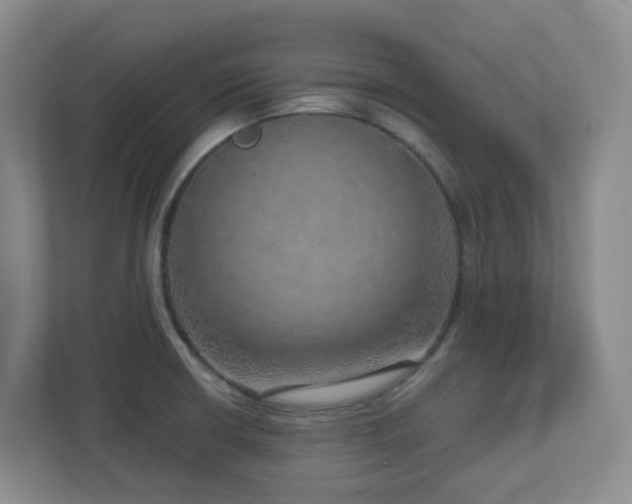 X0000112761426200908201429
