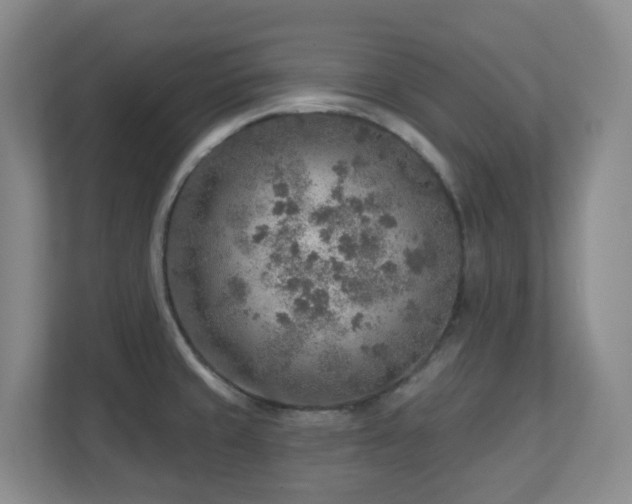 X0000112761429200908201429