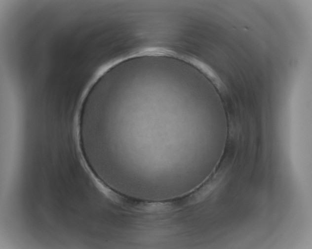 X0000112761430200908201429