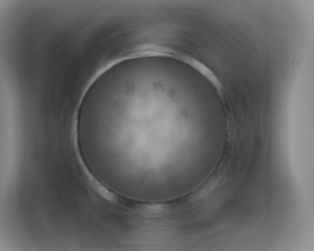 X0000112761431200908201429