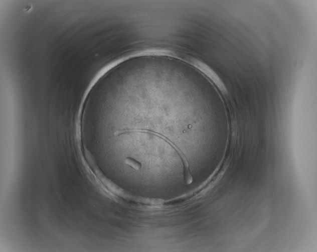 X0000112761436200908201429