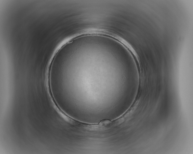 X0000112761437200908201429