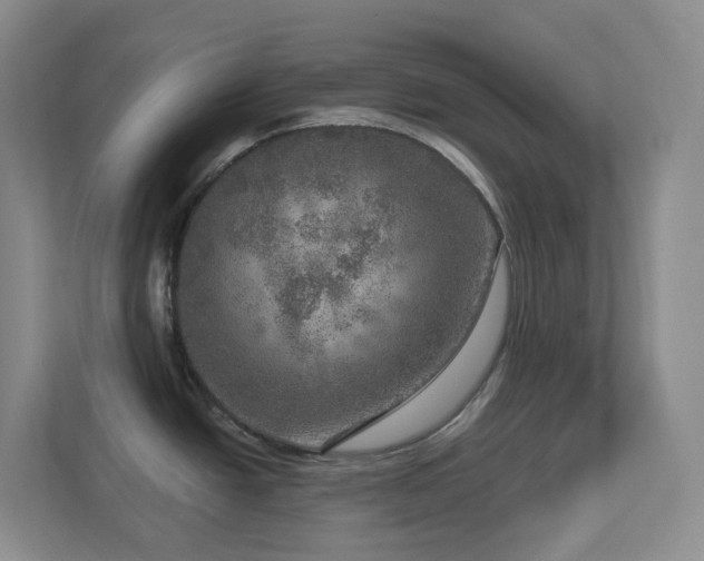 X0000112761438200908201429