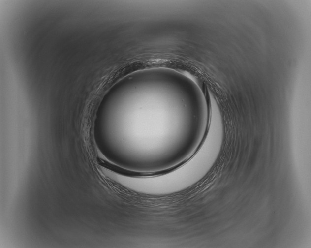 X0000112761441200908201428