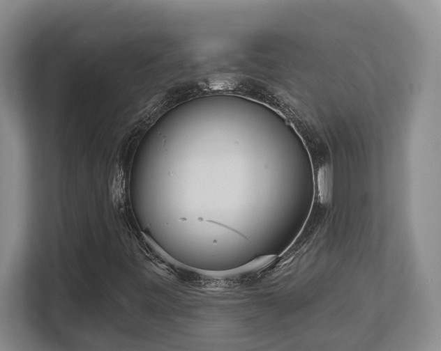X0000112761443200908201428