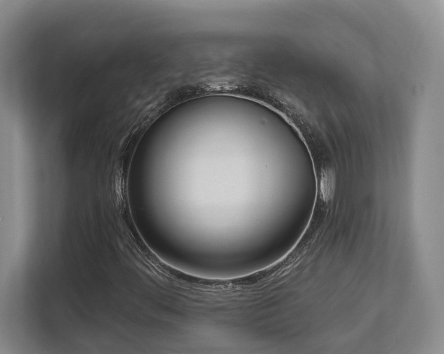X0000112761444200908201428