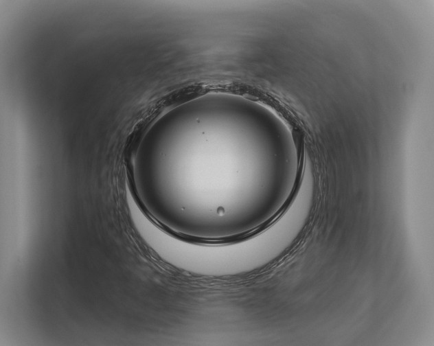 X0000112761445200908201428