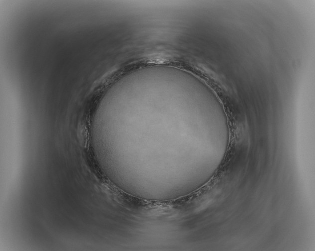 X0000112761446200908201428