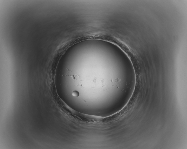 X0000112761447200908201428