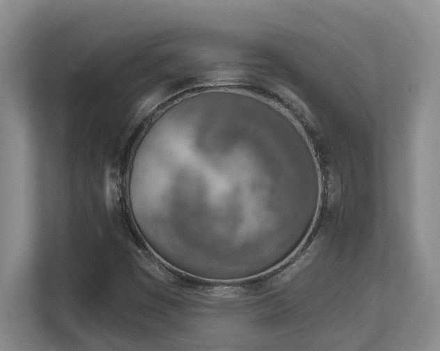 X0000112761449200908201428