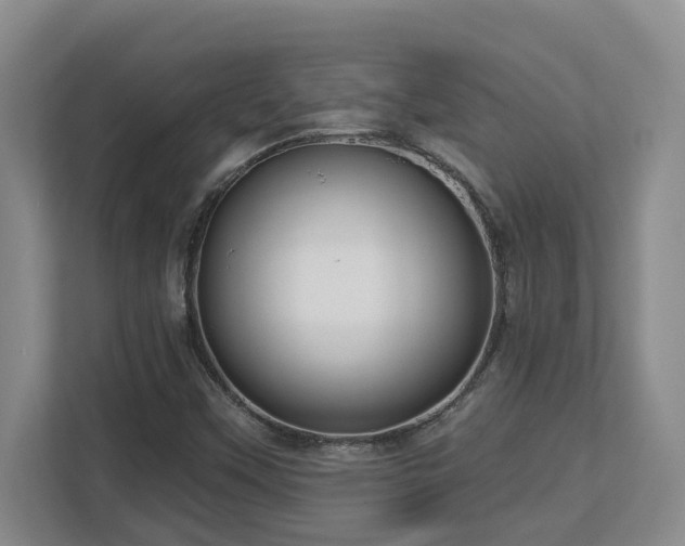 X0000112761451200908201428
