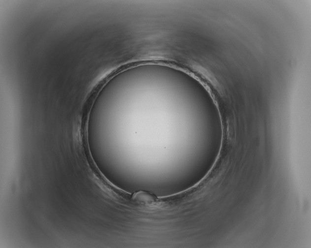 X0000112761452200908201428