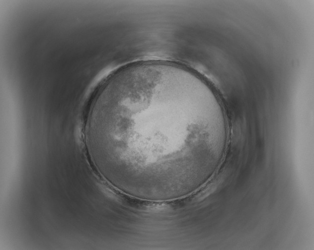 X0000112761454200908201428