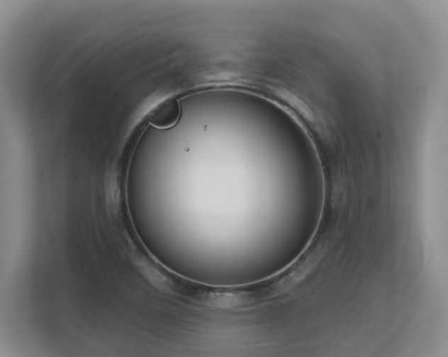 X0000112761458200908201428