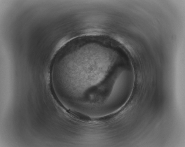 X0000112761459200908201428