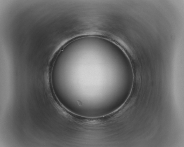 X0000112761460200908201428