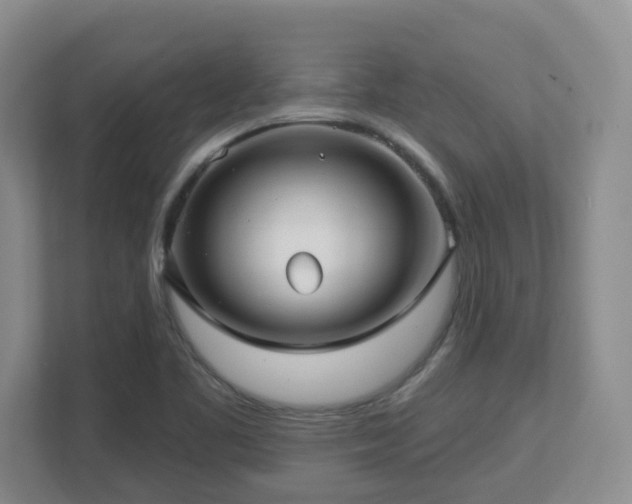 X0000112761461200908201428