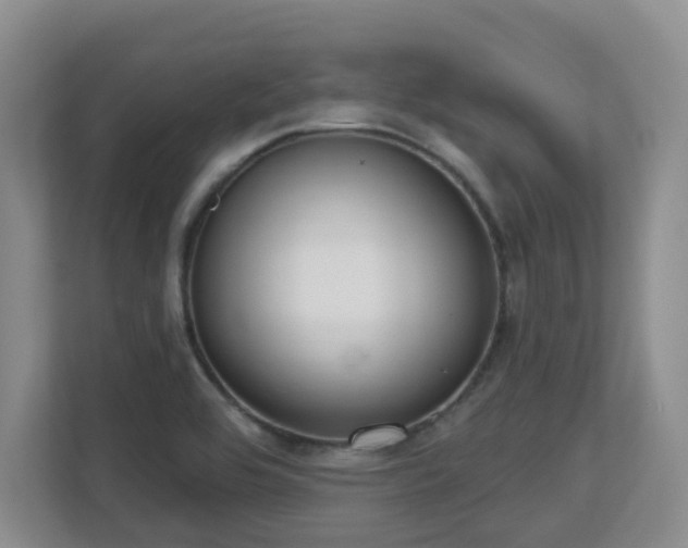 X0000112761464200908201428