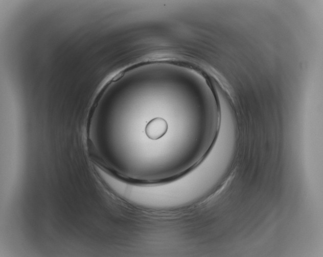 X0000112761465200908201428