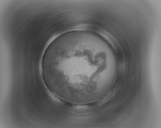 X0000112761466200908201428