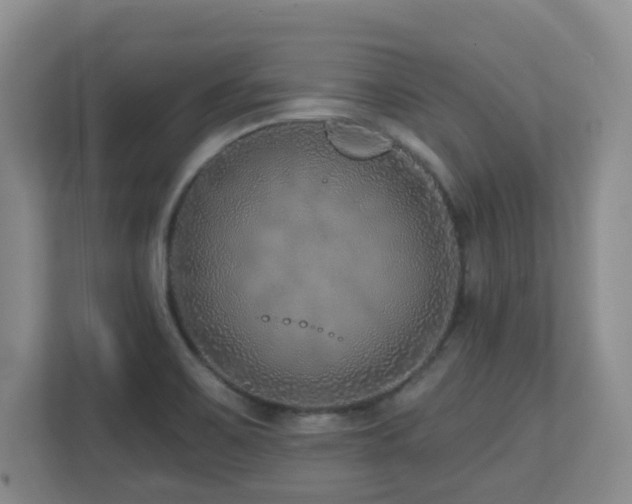 X0000112761467200908201428