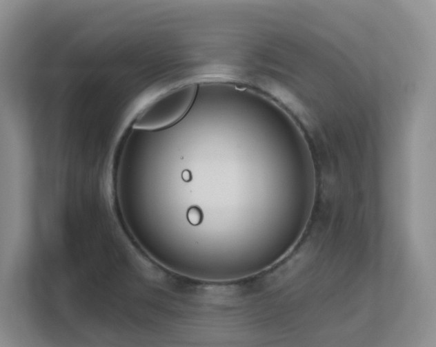 X0000112761469200908201428